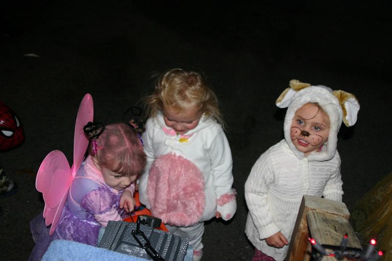 Picture 375.jpg